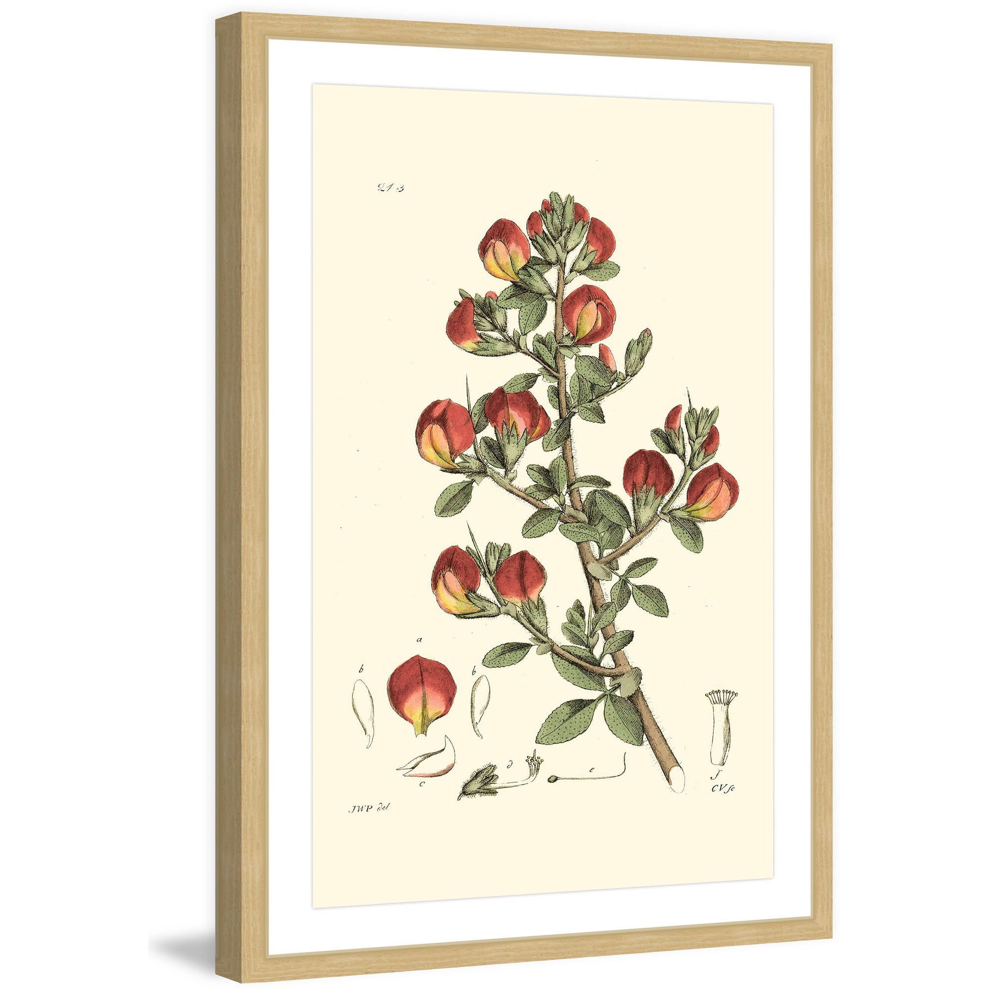 Marmont Hill "Antique Floral I" Framed Painting Print