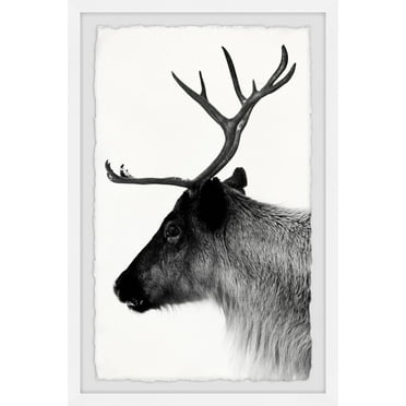 Marmont Hill Antler Profile II Framed Wall Art
