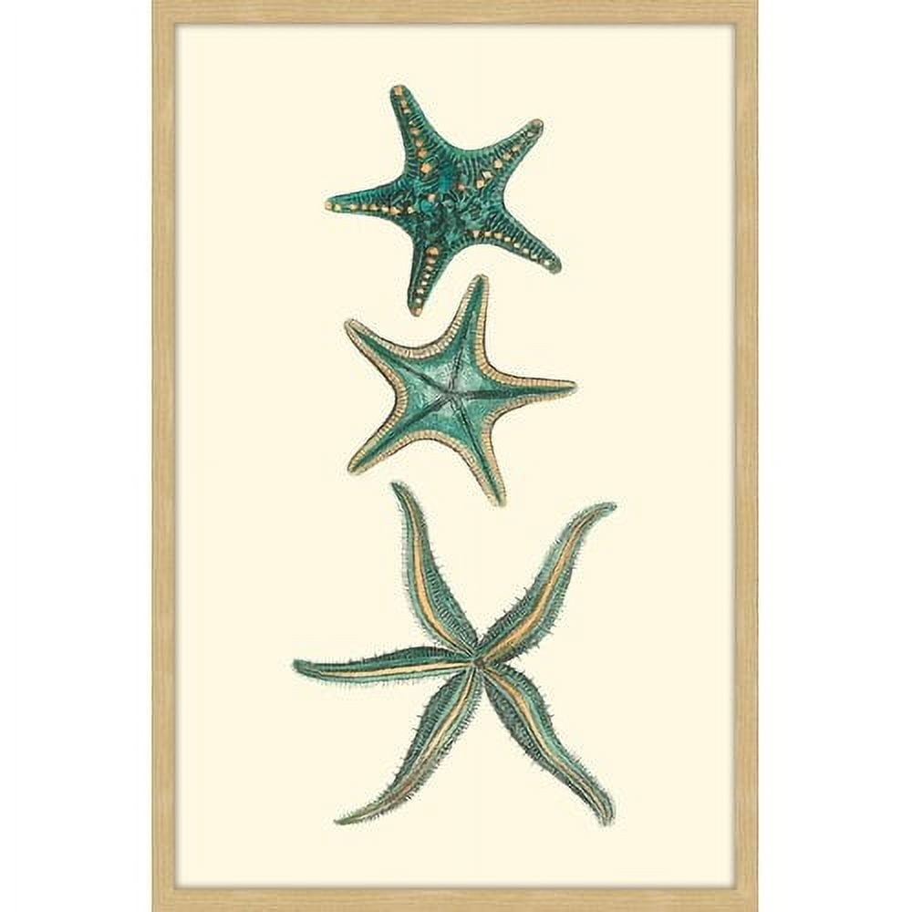 Marmont Hill "Aqua Starfish" Framed Painting Print