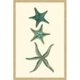 thumbnail image 1 of Marmont Hill "Aqua Starfish" Framed Painting Print, 1 of 5