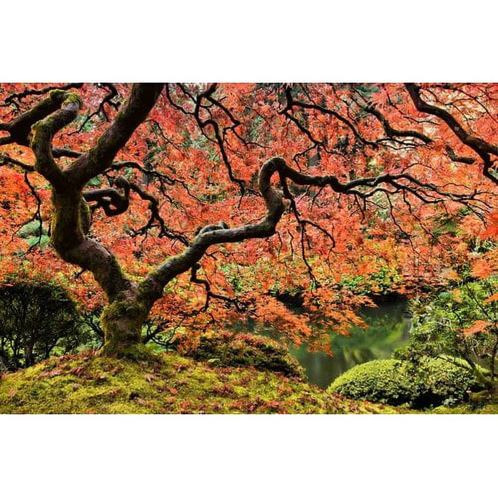 Marmont Hill "Autumn Magnificence" Painting Print on Canvas