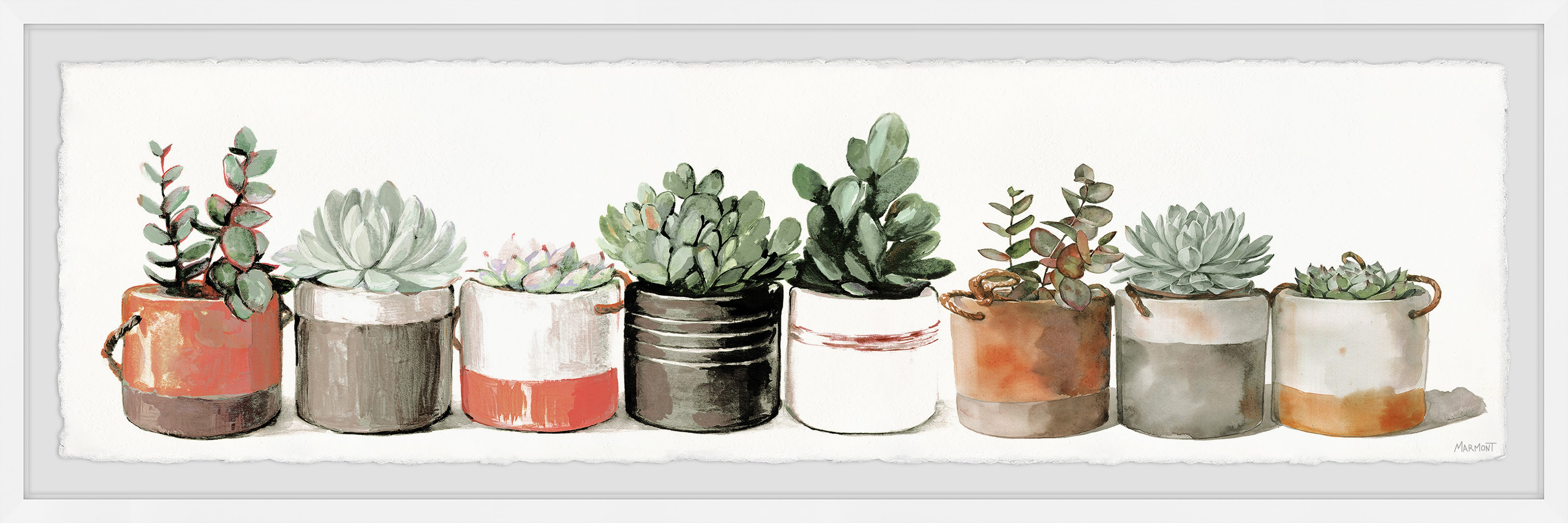 Eclectic Succulent and Cacti Print in White Frame, 10" x 30"