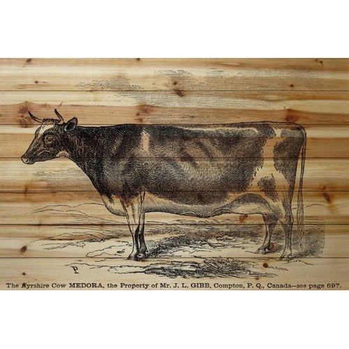 Marmont Hill "Ayrshire Cow" Painting Print on Natural Pine Wood