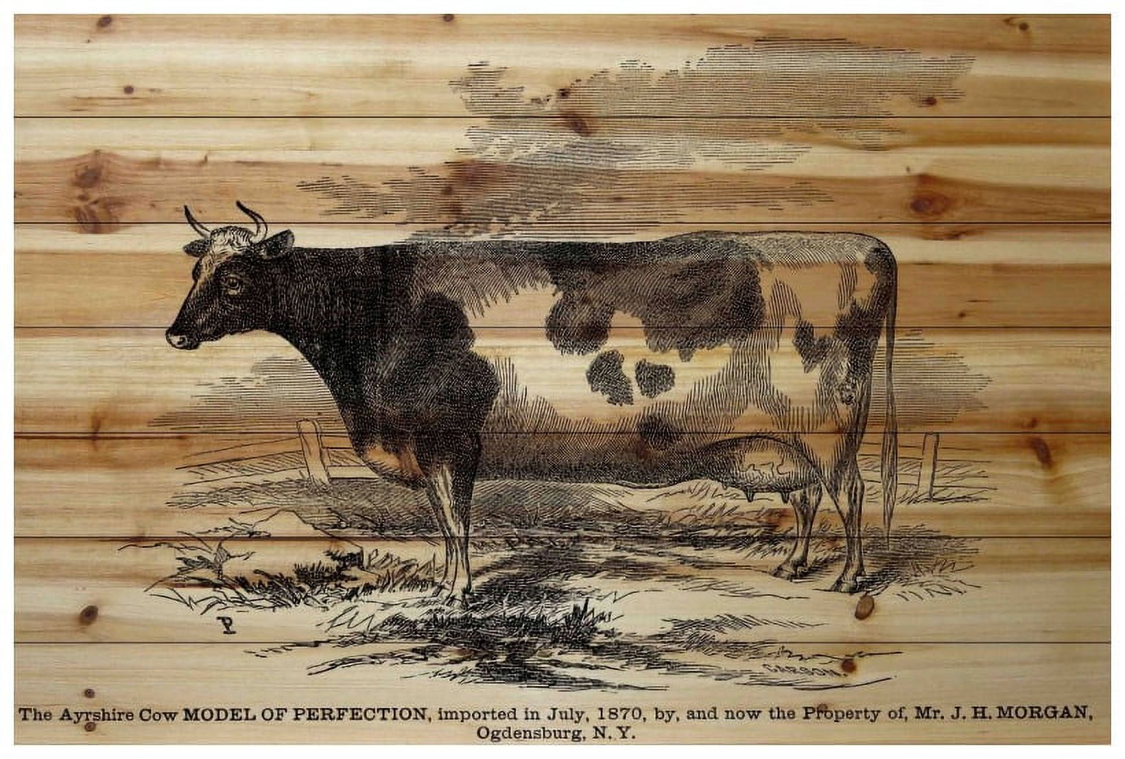 Marmont Hill "Ayrshire Model" Painting Print on Natural Pine Wood