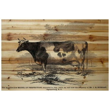 Marmont Hill "Ayrshire Model" Painting Print on Natural Pine Wood