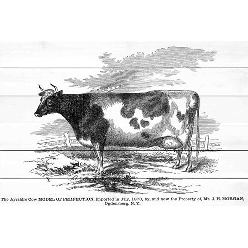 Marmont Hill "Ayrshire Model" Painting Print on White Wood