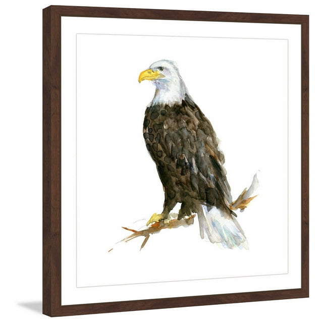 Marmont Hill "Bald Eagle" by Michelle Dujardin Framed Painting Print
