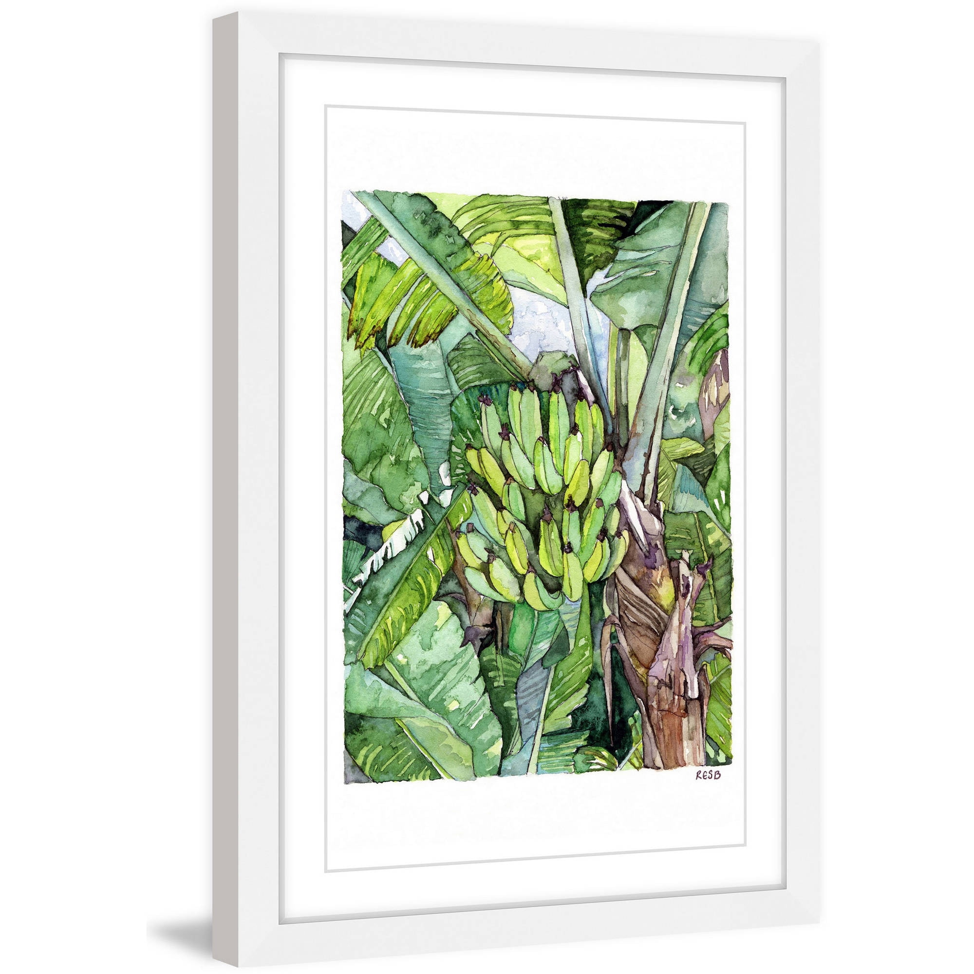 Marmont Hill "Banana Tree" by Rachel Byler Framed Painting Print