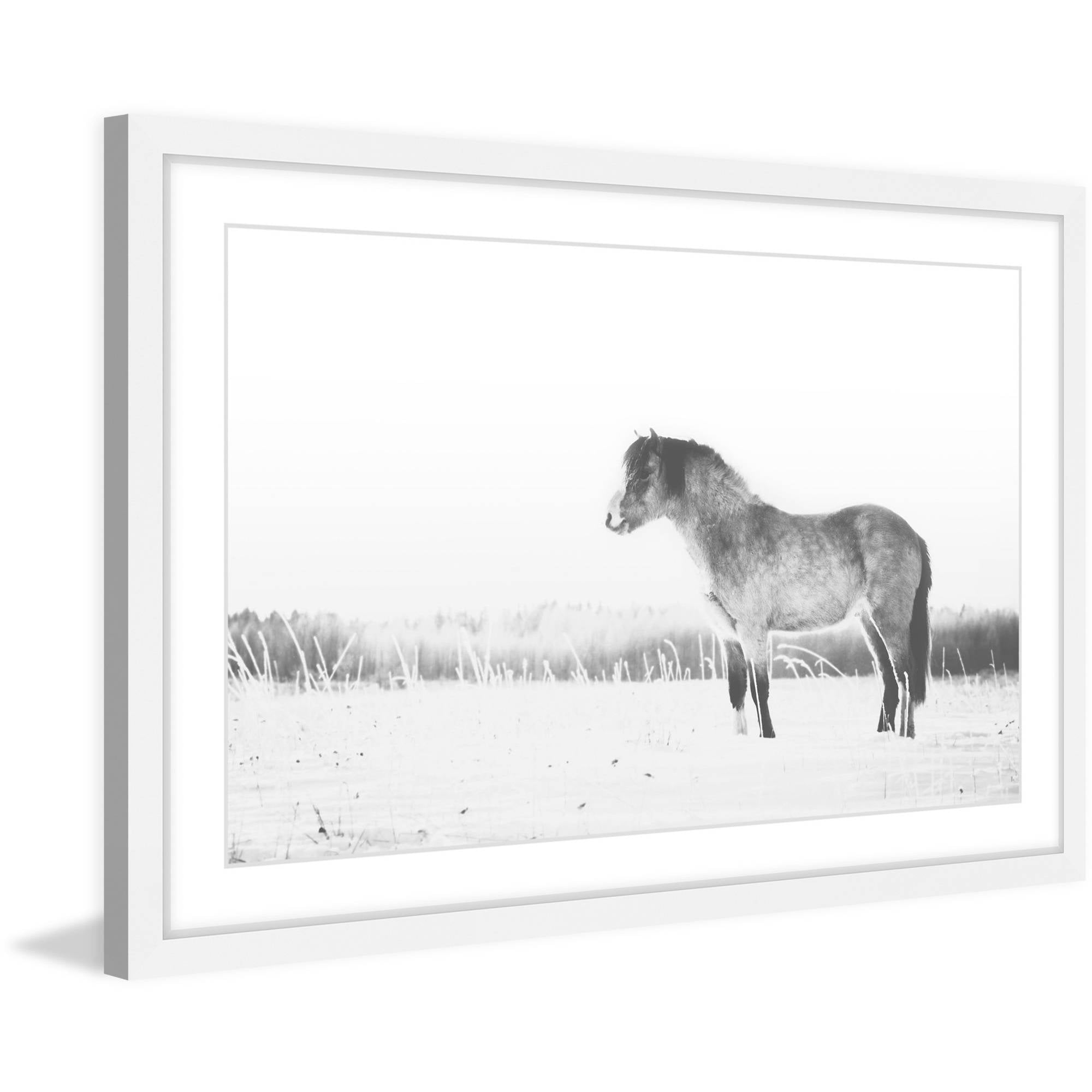 Marmont Hill "Basking in the Sun" Framed Painting Print