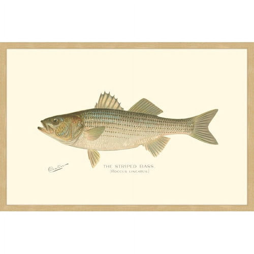 Marmont Hill "Bass" Framed Painting Print