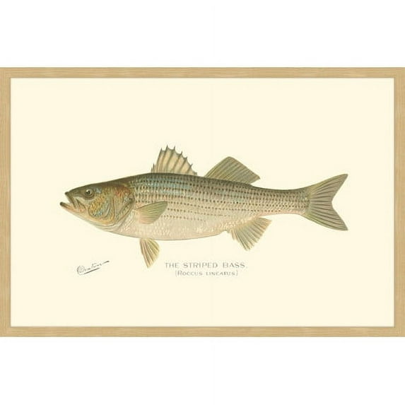 Marmont Hill "Bass" Framed Painting Print