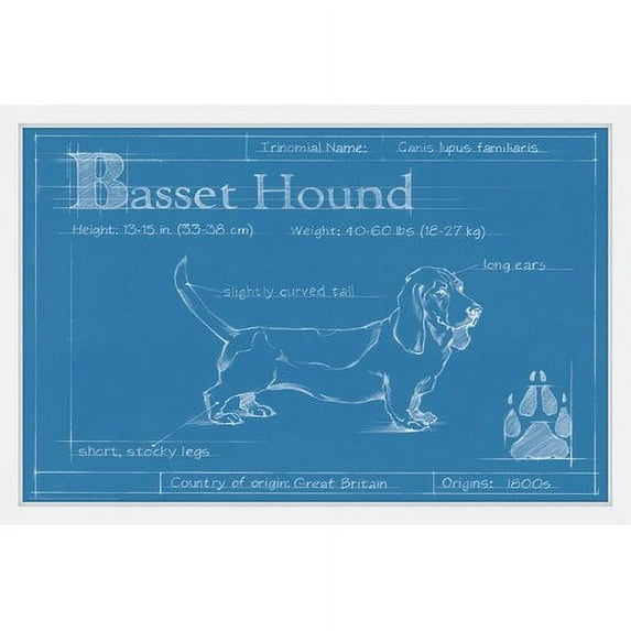 Marmont Hill "Basset Hound" Framed Painting Print