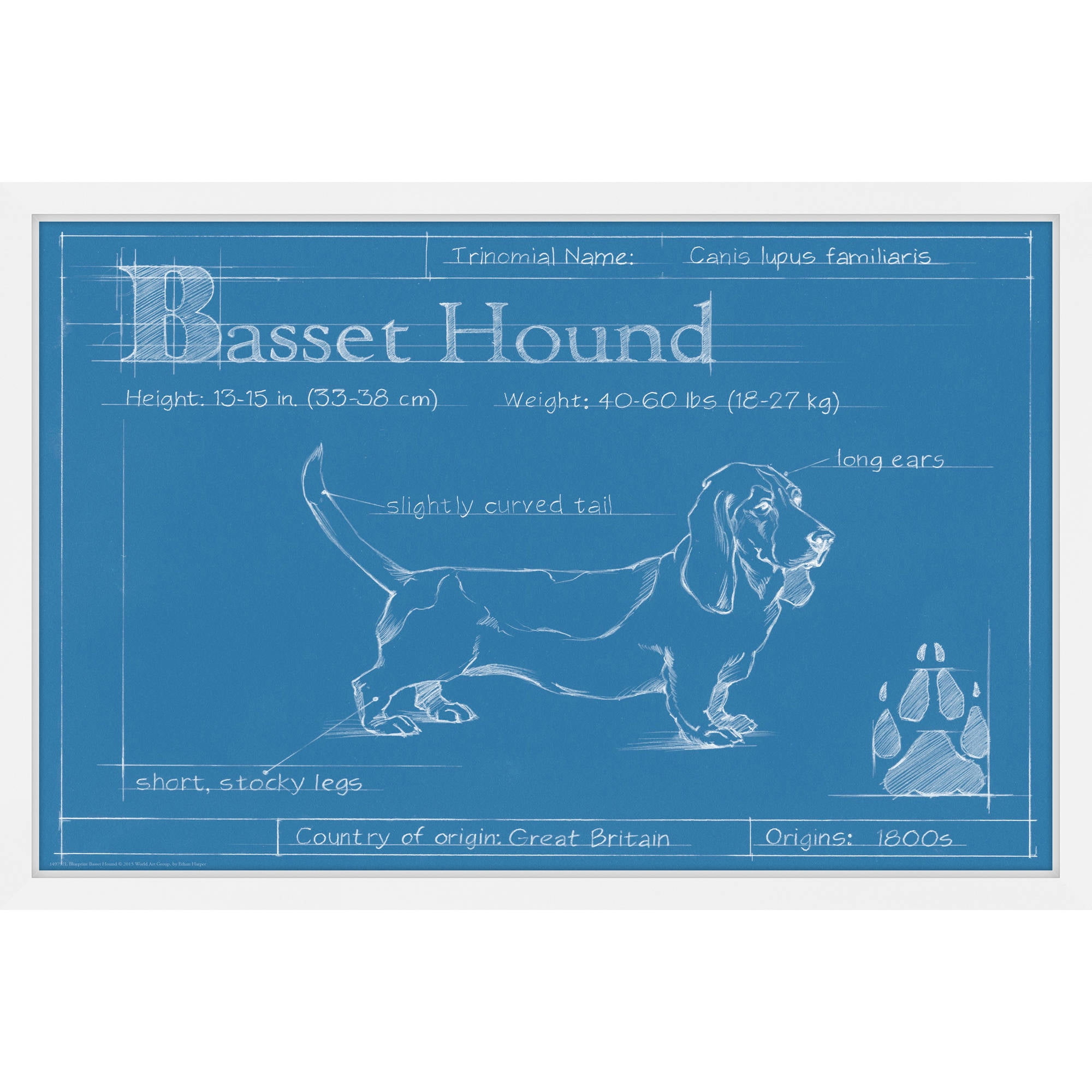 Marmont Hill "Basset Hound" Framed Painting Print