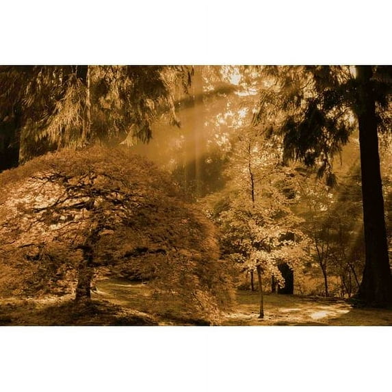 Marmont Hill Bathed in Morning Light by Don Schwartz Canvas Wall Art
