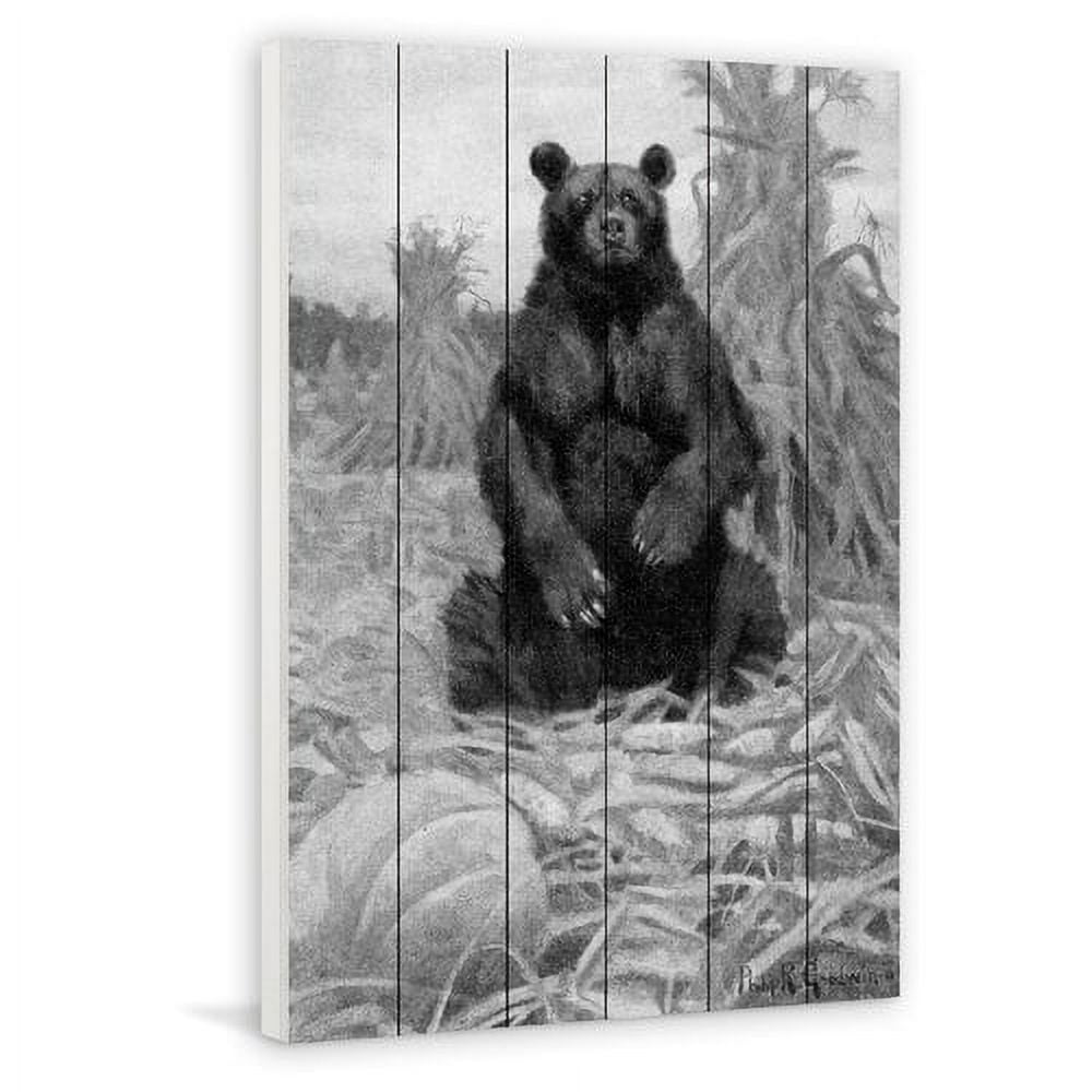 Marmont Hill "Bear in Hay BW" Painting Print on White Wood