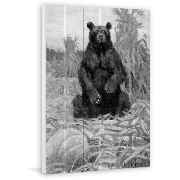 Marmont Hill "Bear in Hay BW" Painting Print on White Wood