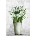 thumbnail image 1 of Marmont Hill Beautiful Daffodils Canvas Wall Art, 30" x 20", 1 of 7