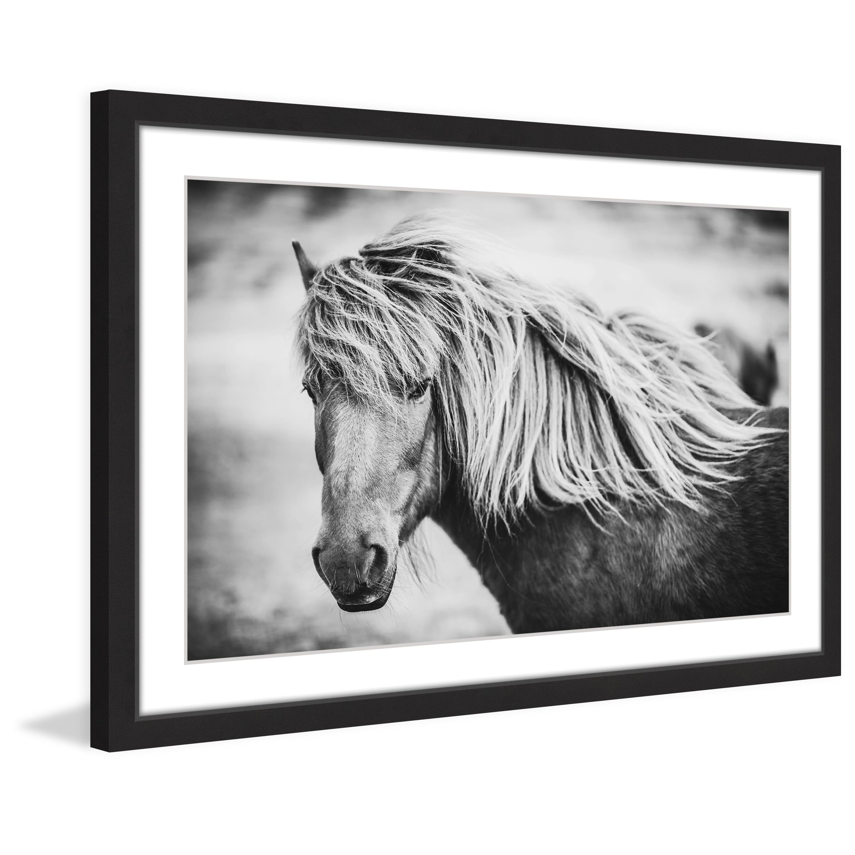 Beautiful Mane Black and White Framed Canvas Print