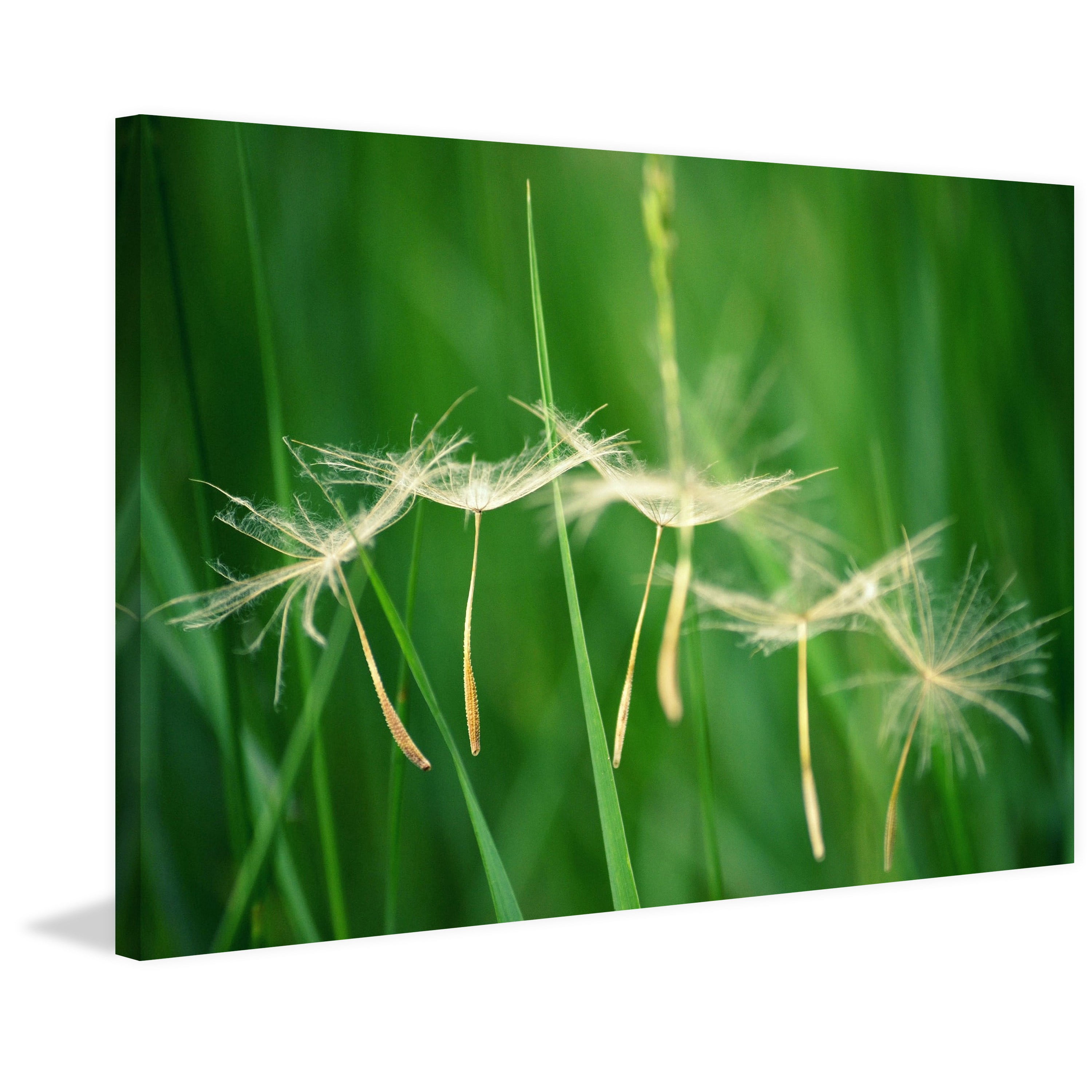 Marmont Hill "Best Wishes" by Robert Dickinson Painting Print on Canvas