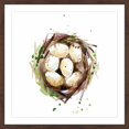 thumbnail image 1 of Marmont Hill "Bird Nest" by Michelle Dujardin Framed Painting Print, 1 of 5