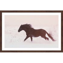Marmont Hill "Black Beauty Gallops" Framed Painting Print