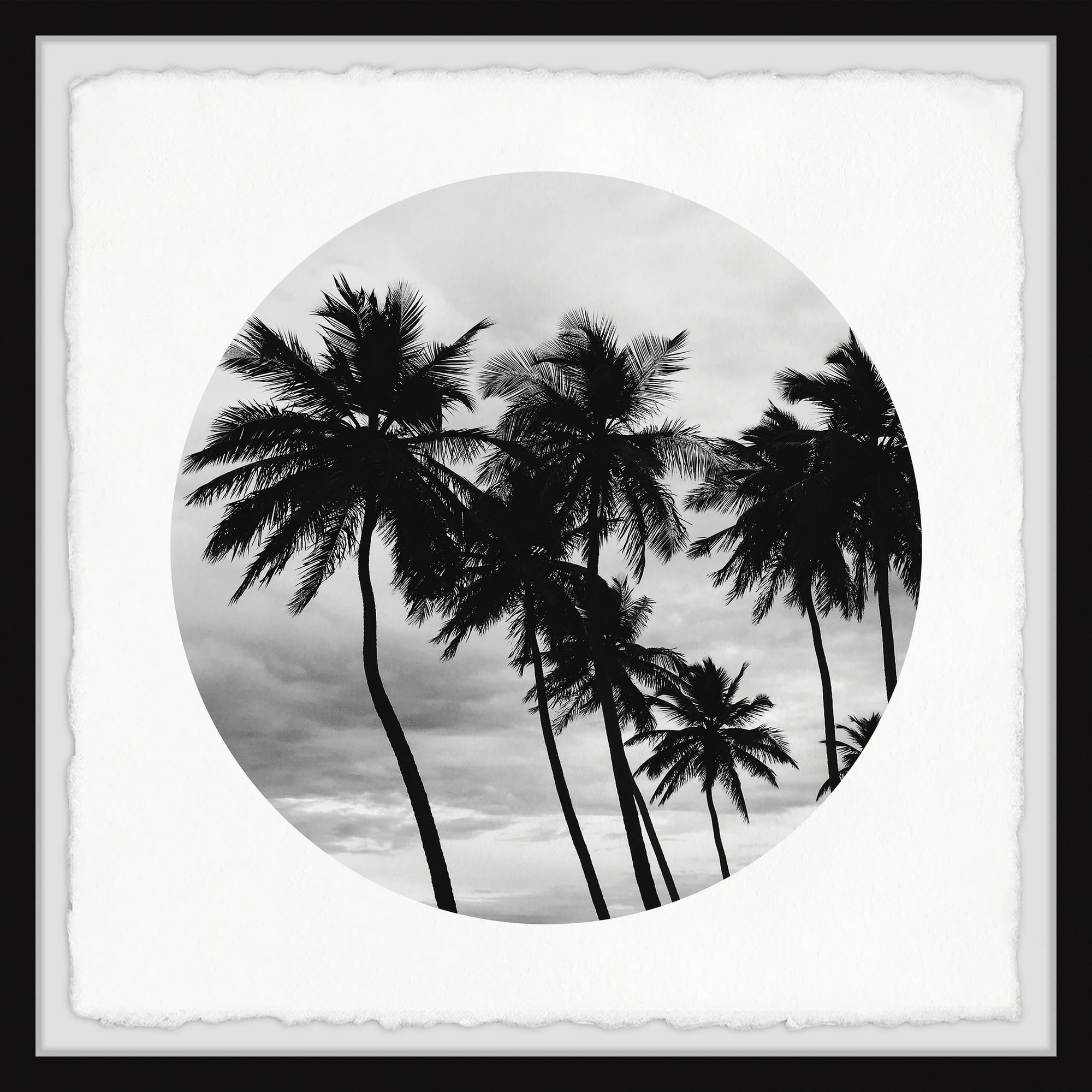 Black and White Palm Trees Nature Print with White Frame, 12" x 12"
