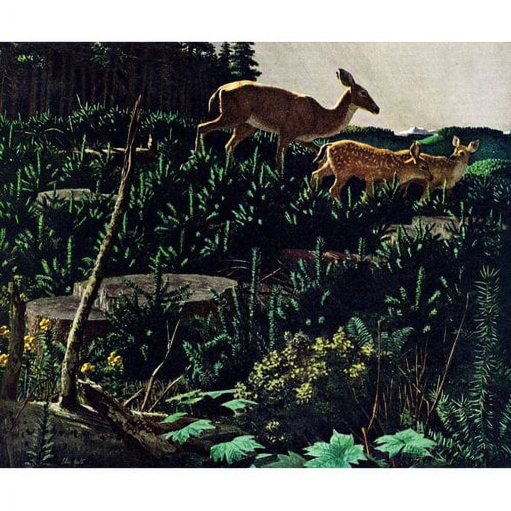 Marmont Hill - "Black Tail Deer" Painting Print on Wrapped Canvas