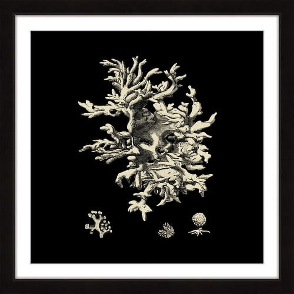 Marmont Hill "Black & Tan Coral III" Framed Painting Print