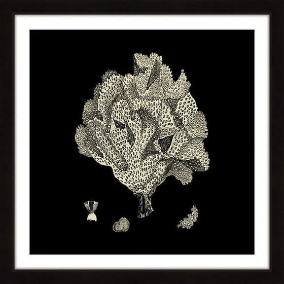 Marmont Hill "Black & Tan Coral IV" Framed Painting Print