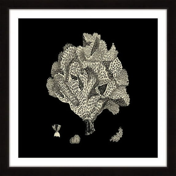 Marmont Hill "Black & Tan Coral IV" Framed Painting Print