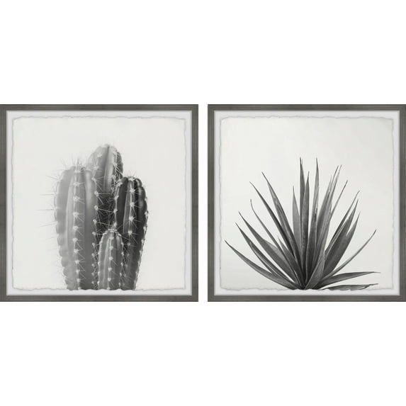 Marmont Hill Black and White Cacti Diptych, 24" x 48"