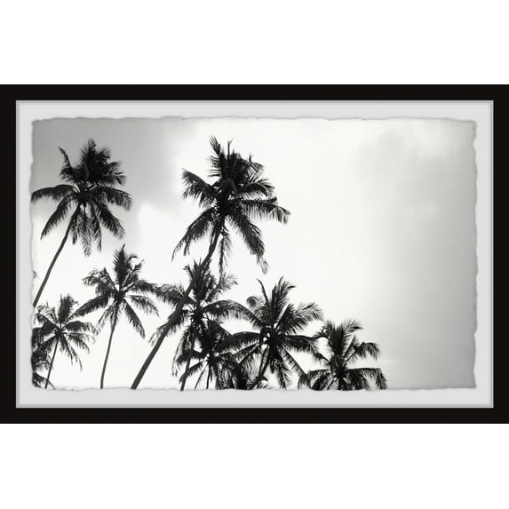 Marmont Hill Black and White Palms Framed Wall Art, 24" x 36"