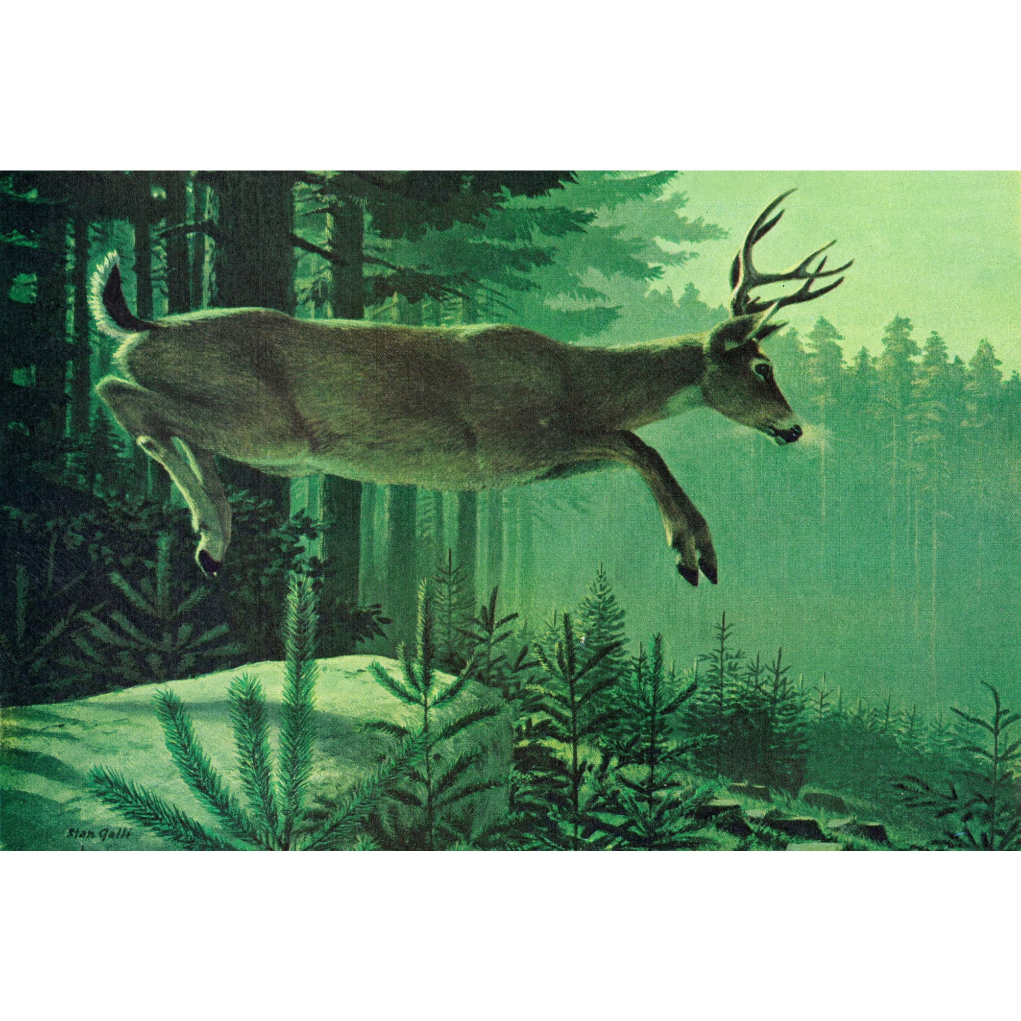 Marmont Hill "Blacktail Buck" Painting Print on Wrapped Canvas