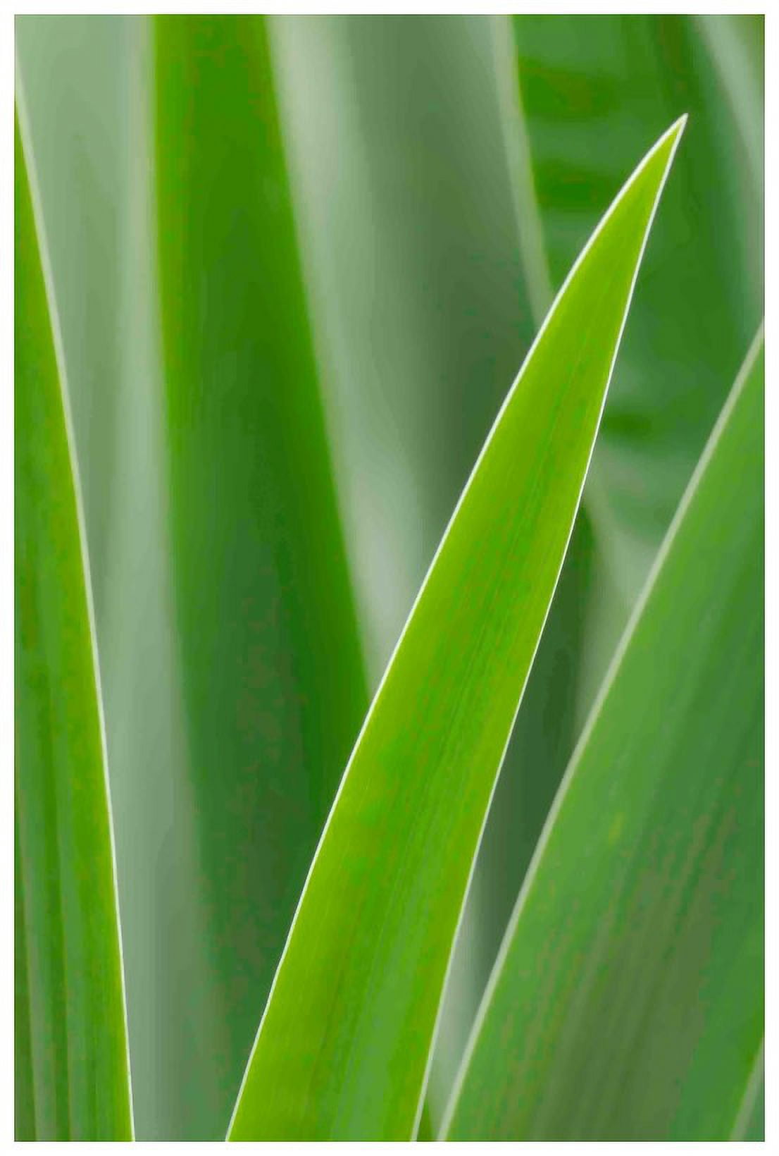 Marmont Hill "Blades of Green" Painting Print on Canvas