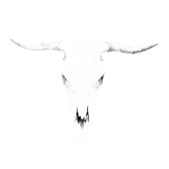 Marmont Hill "Bleached Horns" Painting Print on Wrapped Canvas