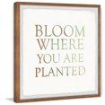 thumbnail image 1 of Marmont Hill Bloom Where You Are Planted II Framed Painting Print-Size:32X32, 1 of 6