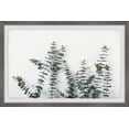 thumbnail image 1 of Marmont Hill Bloom and Grow Framed Wall Art, 20" x 30", 1 of 6