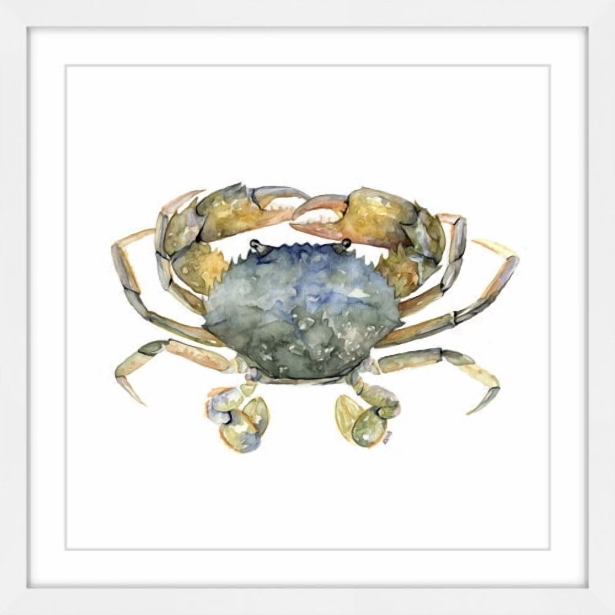 Marmont Hill "Blue Crab" by Rachel Byler Framed Painting Print