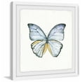 thumbnail image 1 of Marmont Hill Blue Lace Wings Framed Wall Art, 1 of 6