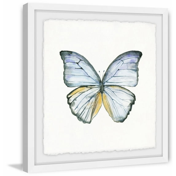 Marmont Hill Blue Lace Wings Framed Wall Art