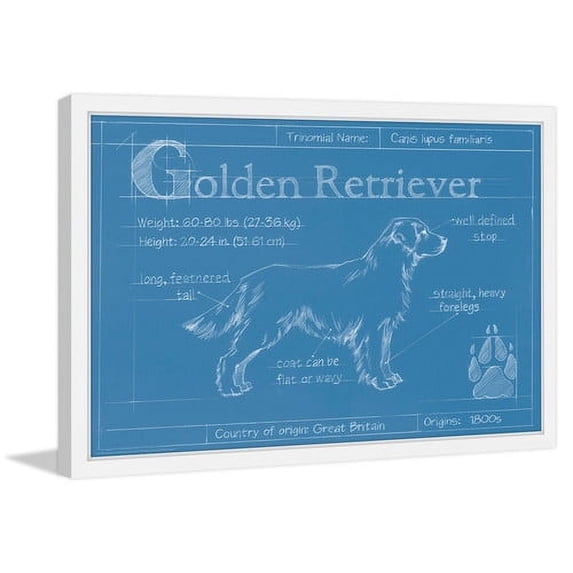 Marmont Hill "Blueprint Golden Retriever" Framed Painting Print