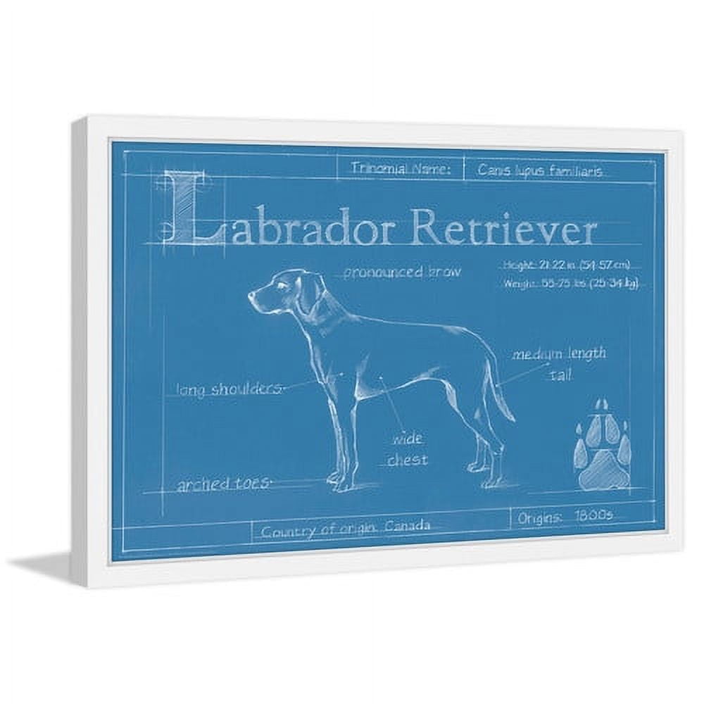 Marmont Hill "Blueprint Labrador Retriever" Framed Painting Print