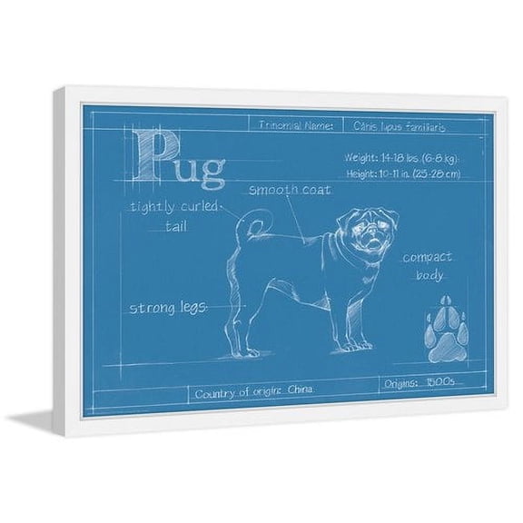 Marmont Hill "Blueprint Pug" Framed Painting Print