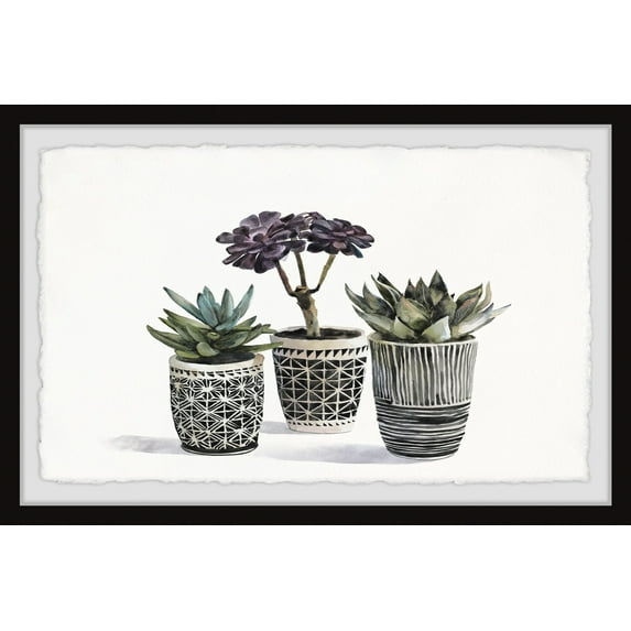 Marmont Hill Bonsai and Succulents Framed Wall Art