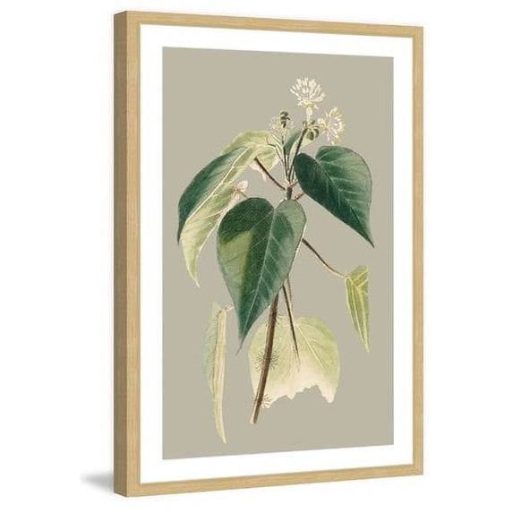 Marmont Hill "Botanical Cabinet II" Framed Painting Print