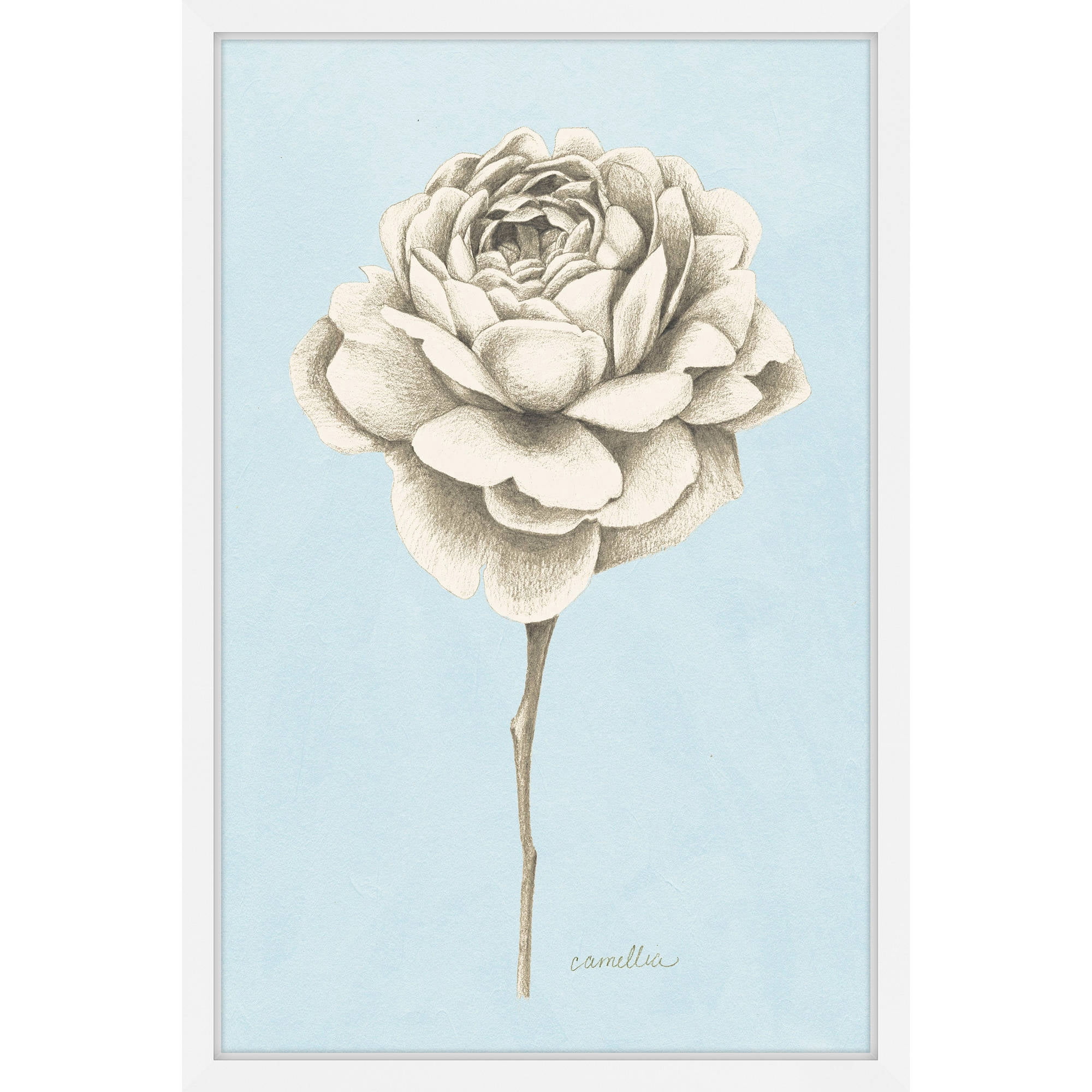 Marmont Hill "Botanical Study I" Framed Painting Print