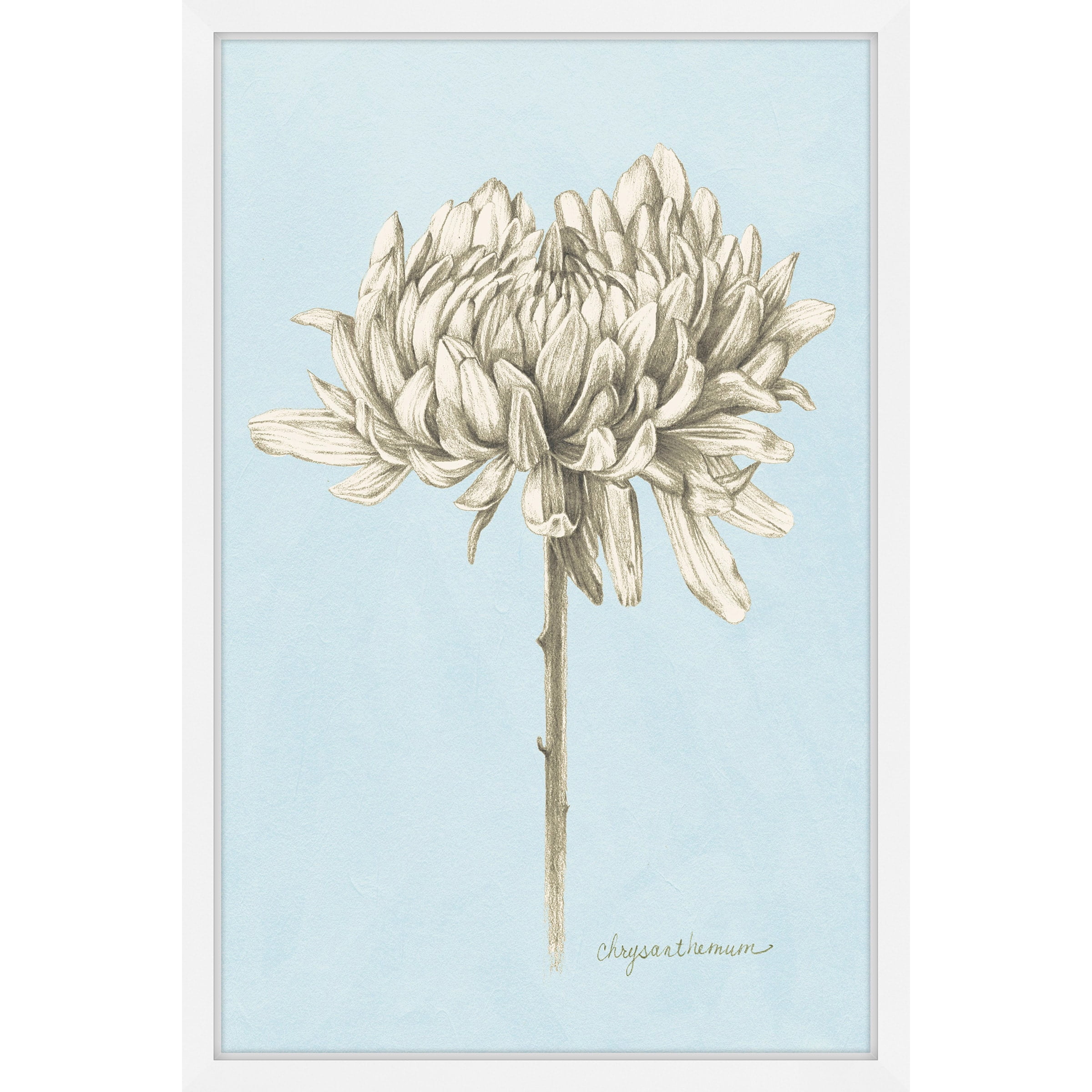Marmont Hill Botanical Study II Framed Wall Art