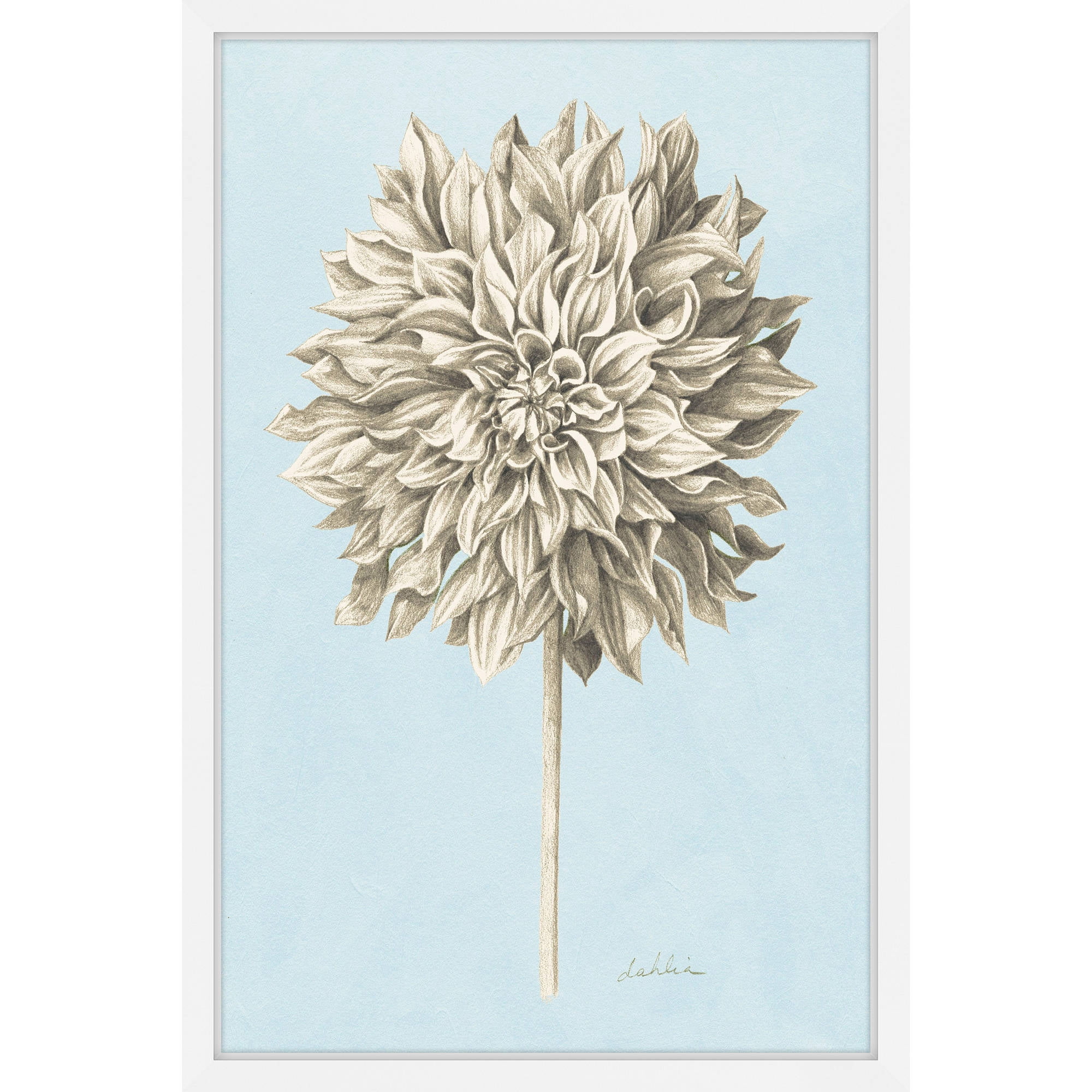 Marmont Hill "Botanical Study III" Framed Painting Print