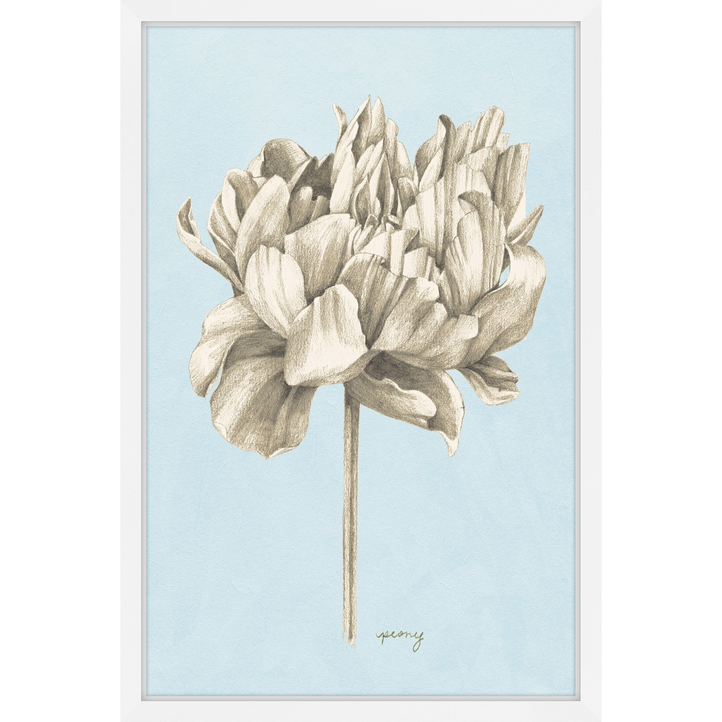 Marmont Hill Botanical Study IV Framed Wall Art