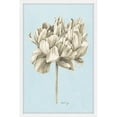 thumbnail image 1 of Marmont Hill Botanical Study IV Framed Wall Art, 1 of 5